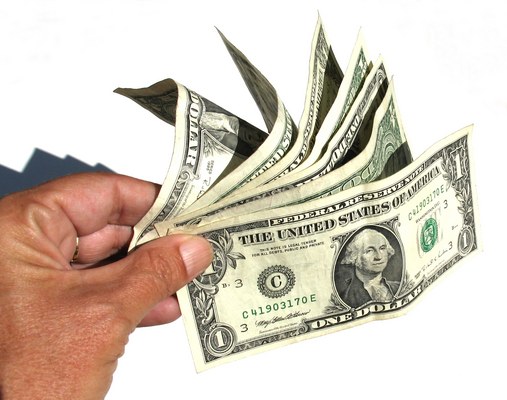 Product picture How To Raise And Save Money